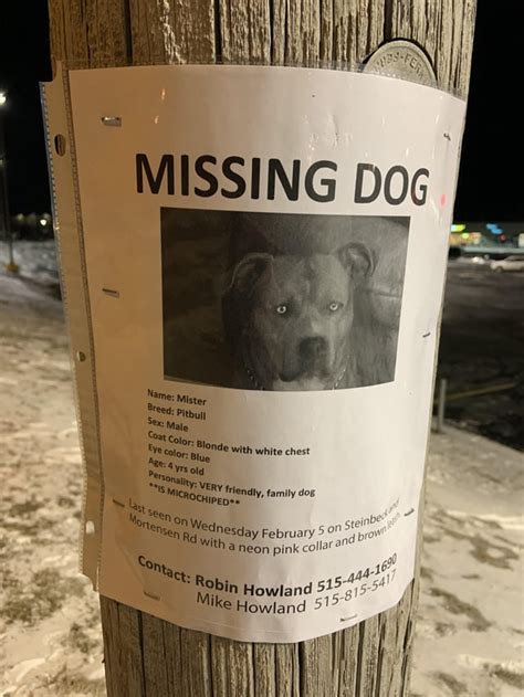 Once you input your zip code, our system will display alerts made within a 25 miles radius (N/S/E/W) of your zip code, and that were placed during the last 120 days. . Missing dog near me